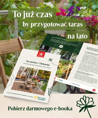 Taras jako azyl w upalne dni – przestrzeń dla natury i odpoczynku